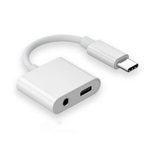 2-in-1 C Type Adapter Usb C 3.5mm Jack Earphone Audio Cable For Galaxy S21 S20 Fe Note 20 Ultra Note 10 Plus type*C+3.5MM interface
