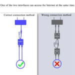 Ethernet Splitter 1 To 2 Cat6 RJ45 Network Extension Connector With USB Power Cable